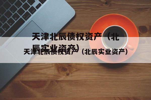 天津北辰债权资产（北辰实业资产）