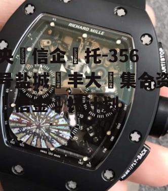 央‮信企‬托-356号盐城‮丰大‬集合资‮信金‬托计划