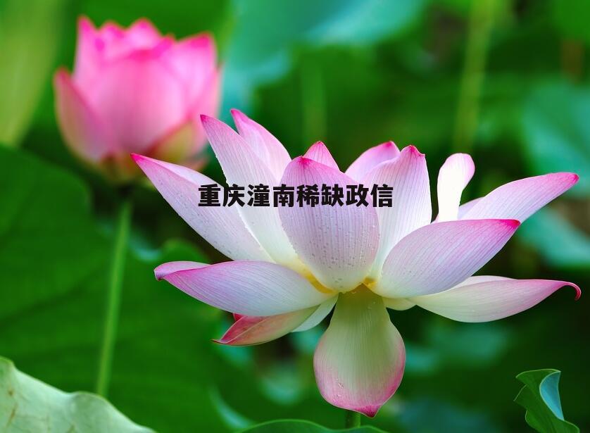 重庆潼南稀缺政信