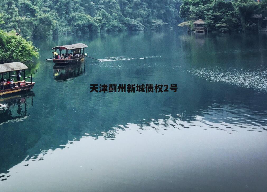 天津蓟州新城债权2号