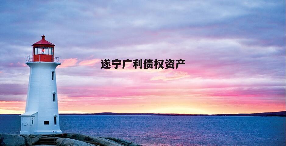 遂宁广利债权资产