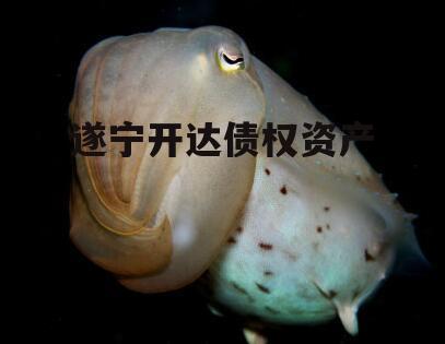 遂宁开达债权资产