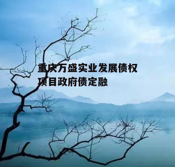 重庆万盛实业发展债权项目政府债定融