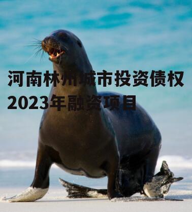 河南林州城市投资债权2023年融资项目