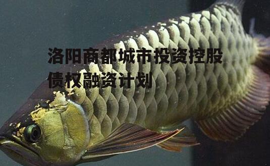 洛阳商都城市投资控股债权融资计划