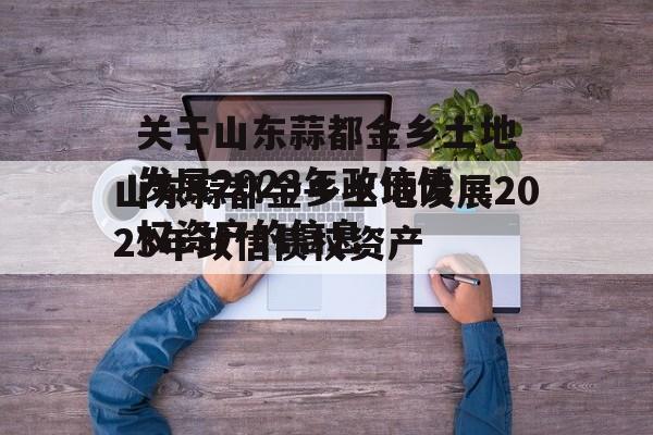 关于山东蒜都金乡土地发展2023年政信债权资产的信息