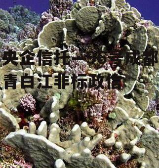 央企信托—96号成都青白江非标政信