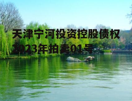 天津宁河投资控股债权2023年拍卖01号