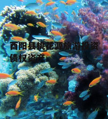酉阳县桃花源旅游投资债权资产
