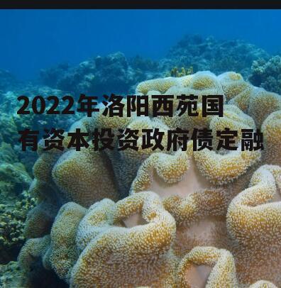 2022年洛阳西苑国有资本投资政府债定融