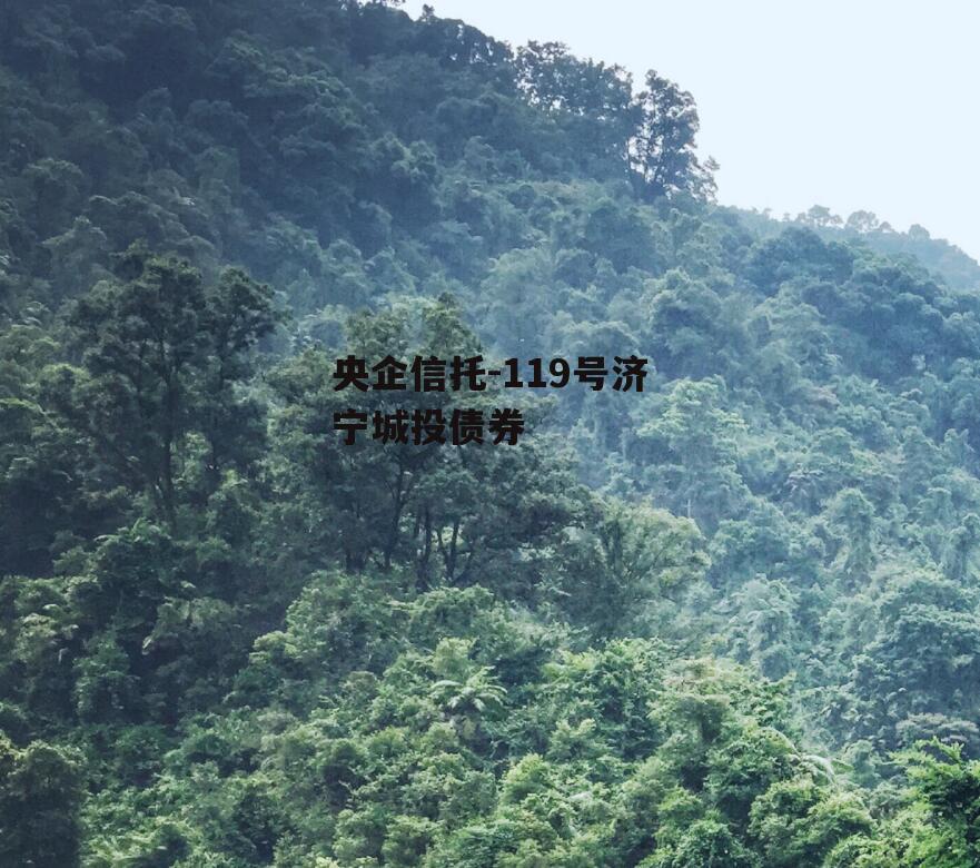 央企信托-119号济宁城投债券