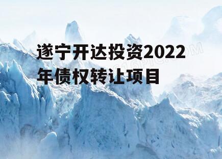 遂宁开达投资2022年债权转让项目
