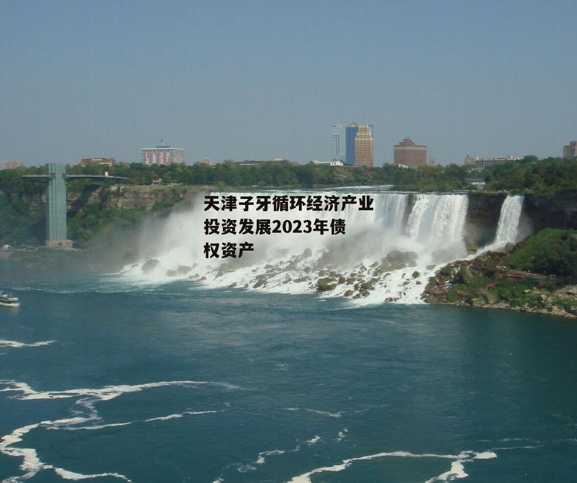 天津子牙循环经济产业投资发展2023年债权资产