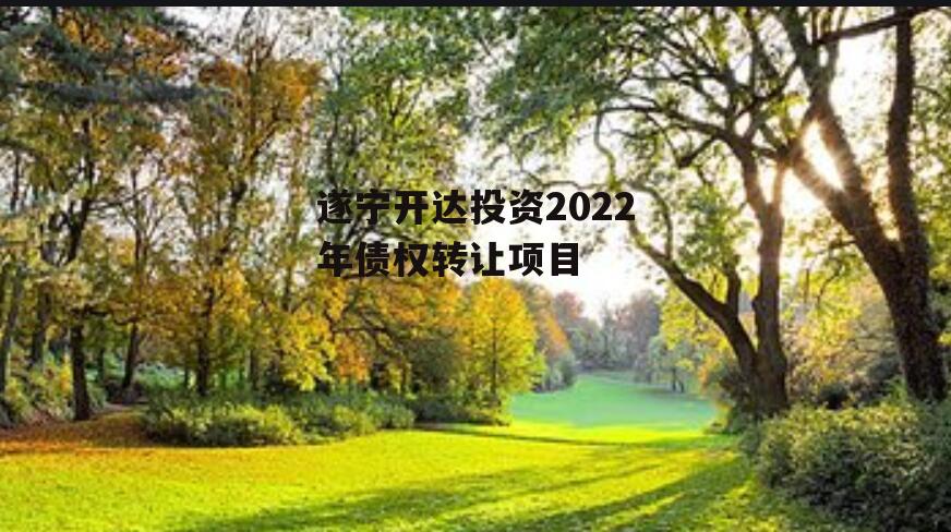 遂宁开达投资2022年债权转让项目