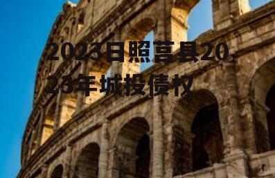 2023日照莒县2023年城投债权