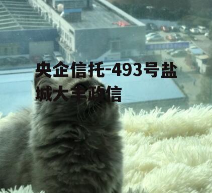 央企信托-493号盐城大丰政信