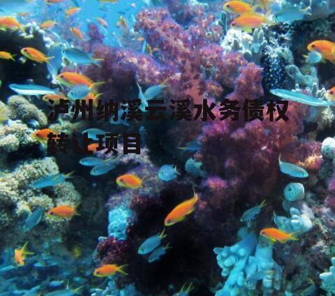 泸州纳溪云溪水务债权转让项目