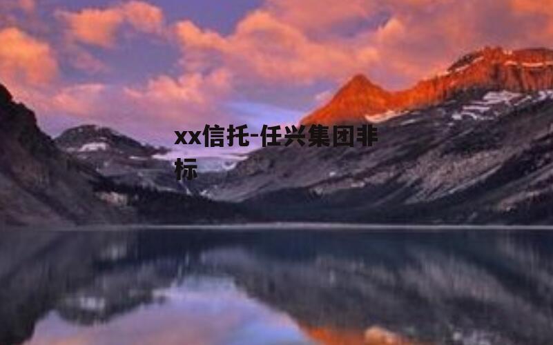 xx信托-任兴集团非标