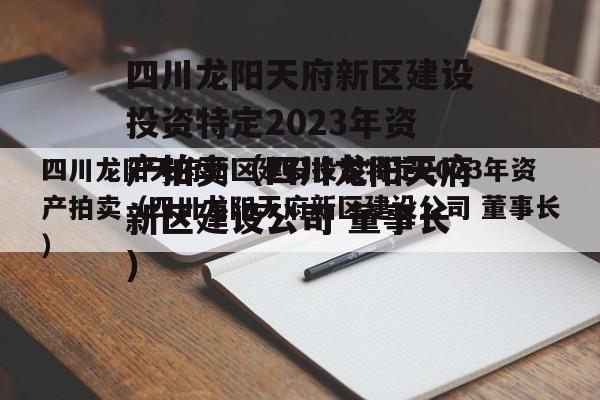 四川龙阳天府新区建设投资特定2023年资产拍卖（四川龙阳天府新区建设公司 董事长）