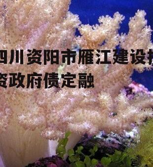 四川资阳市雁江建设投资政府债定融