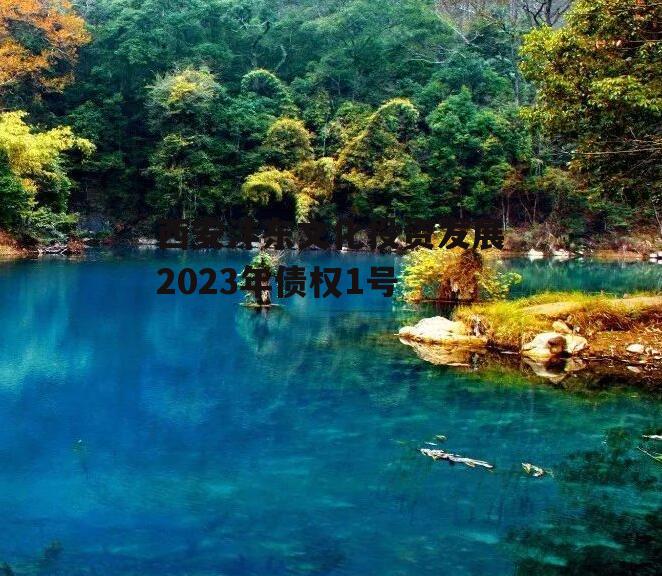 西安沣东文化投资发展2023年债权1号