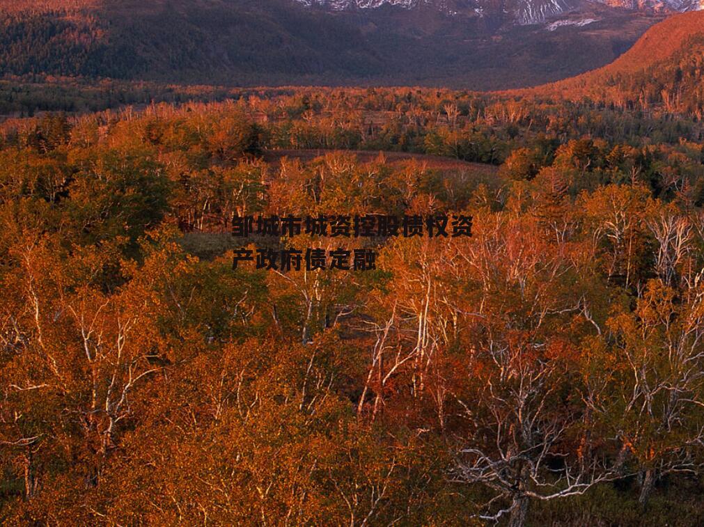 邹城市城资控股债权资产政府债定融