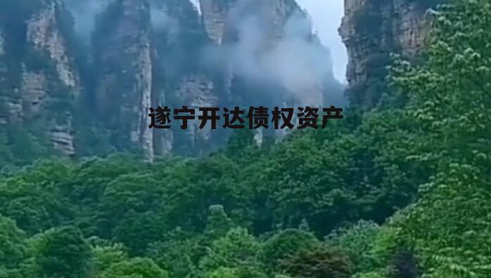 遂宁开达债权资产