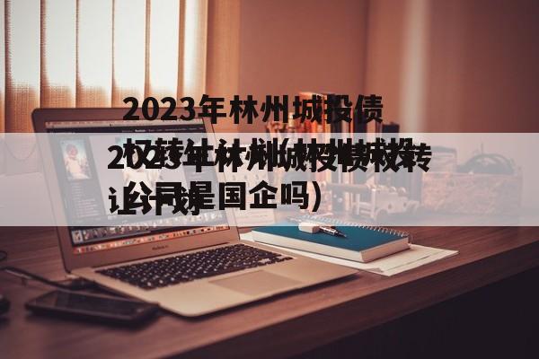 2023年林州城投债权转让计划(林州城投公司是国企吗)
