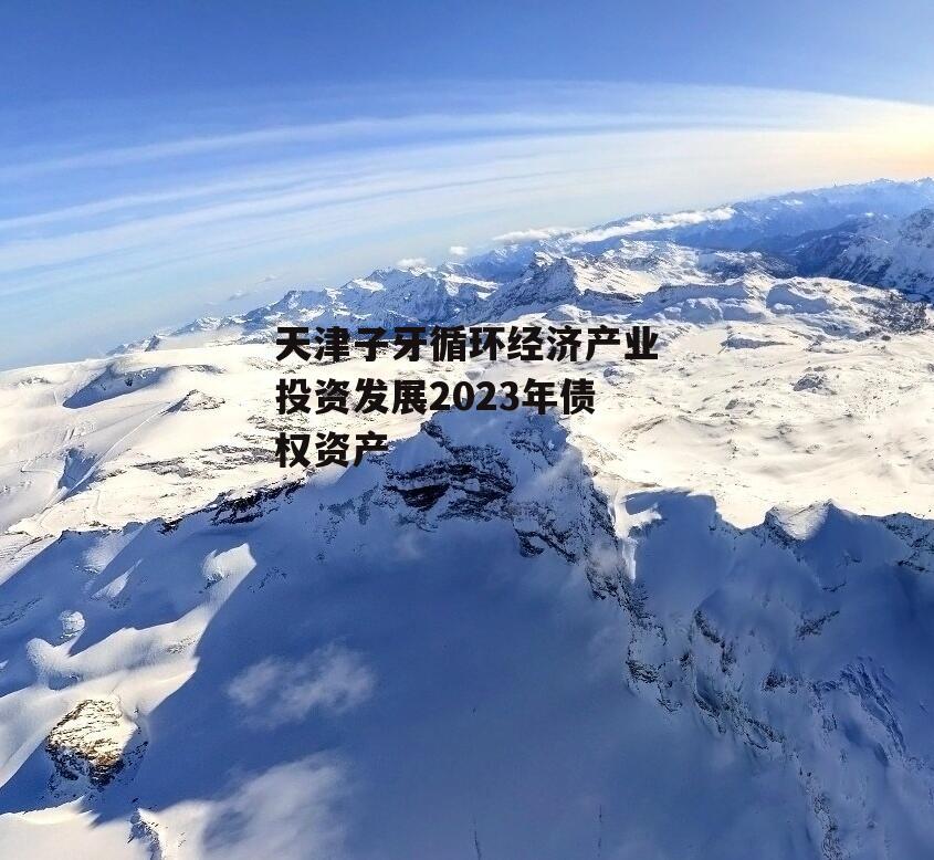 天津子牙循环经济产业投资发展2023年债权资产
