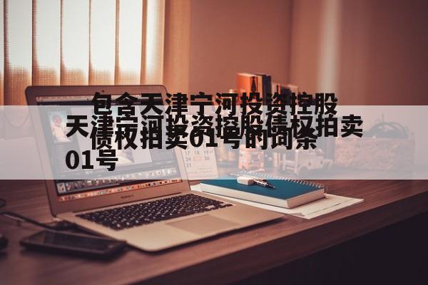 包含天津宁河投资控股债权拍卖01号的词条
