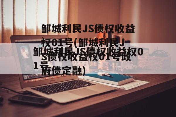 邹城利民JS债权收益权01号(邹城利民JS债权收益权01号政府债定融)