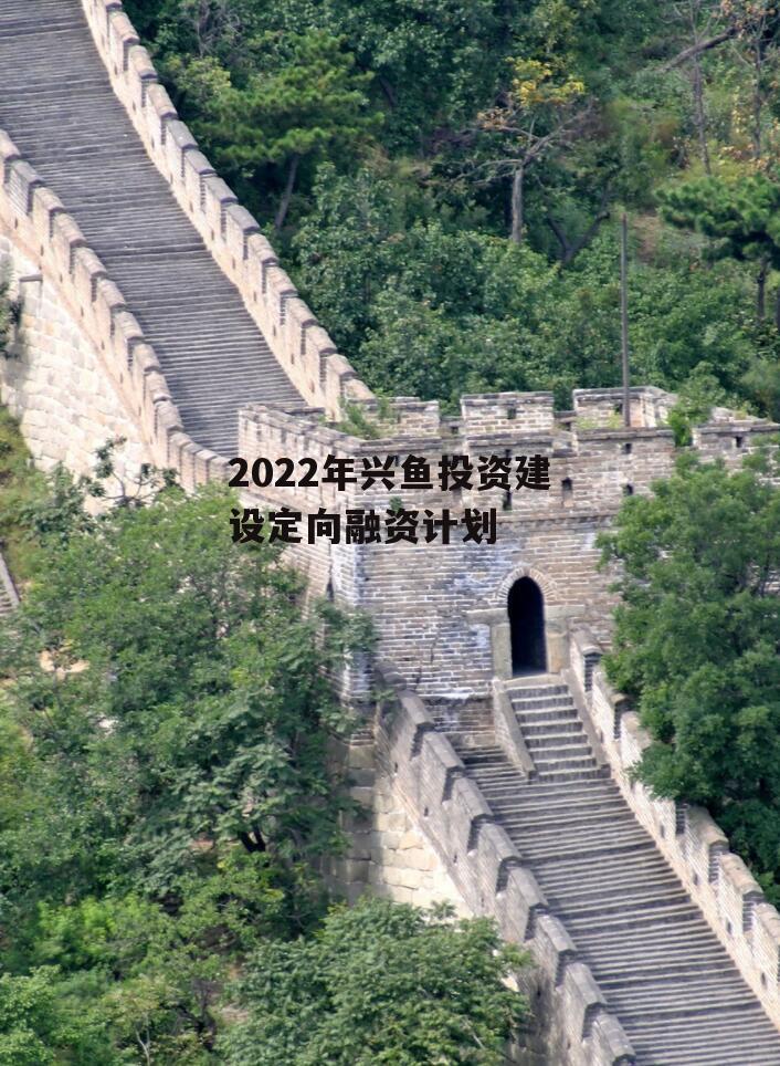 2022年兴鱼投资建设定向融资计划