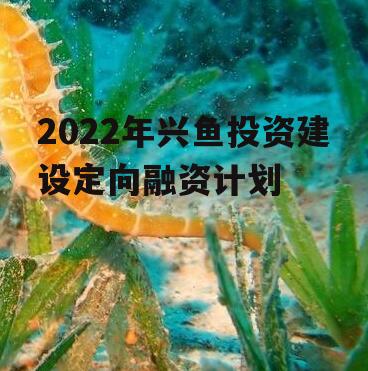 2022年兴鱼投资建设定向融资计划