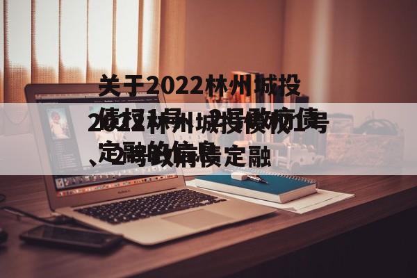 关于2022林州城投债权1号、2号政府债定融的信息