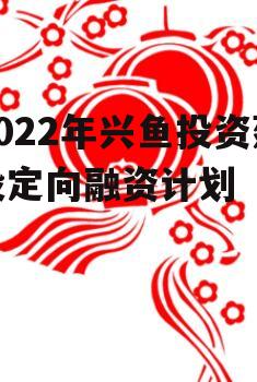 2022年兴鱼投资建设定向融资计划