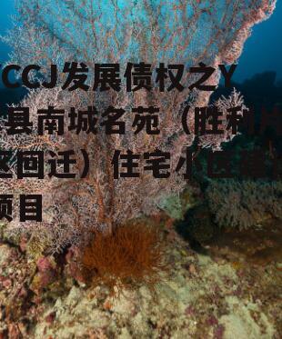 YCCJ发展债权之YC县南城名苑（胜利片区回迁）住宅小区建设项目