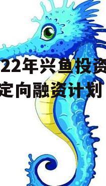 2022年兴鱼投资建设定向融资计划