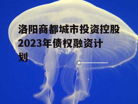 洛阳商都城市投资控股2023年债权融资计划