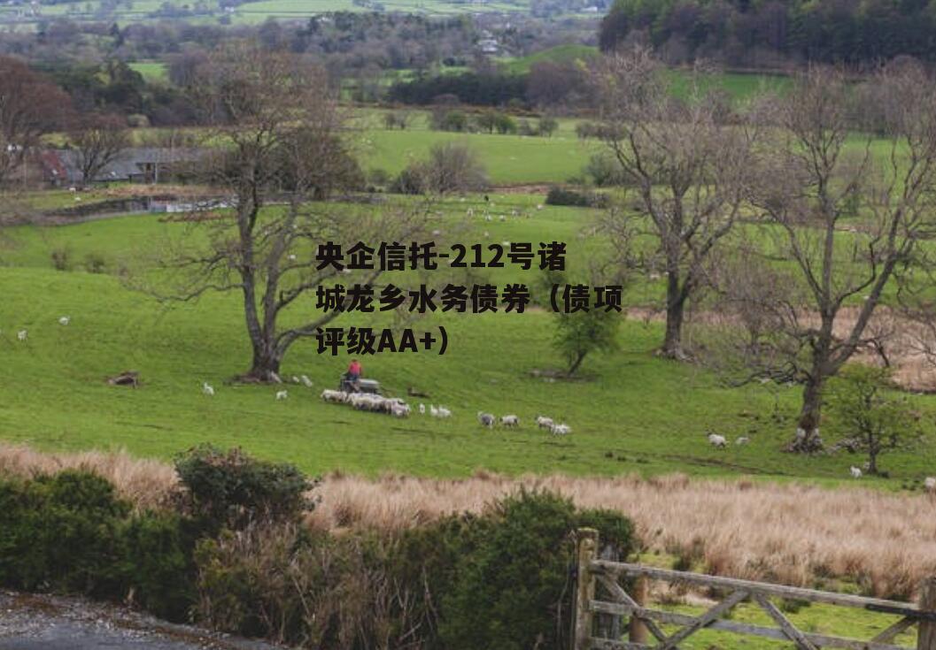 央企信托-212号诸城龙乡水务债券（债项评级AA+）