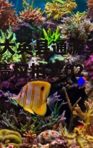 四川大英县通源实业2023债权拍卖02