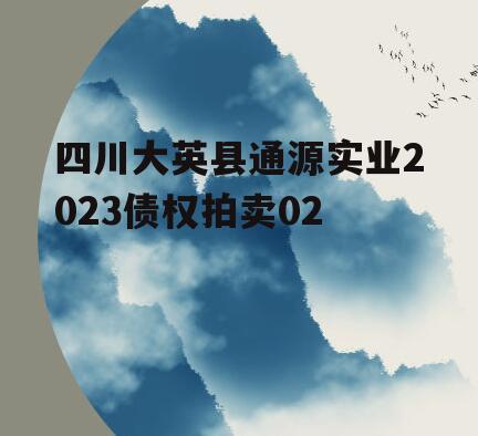 四川大英县通源实业2023债权拍卖02