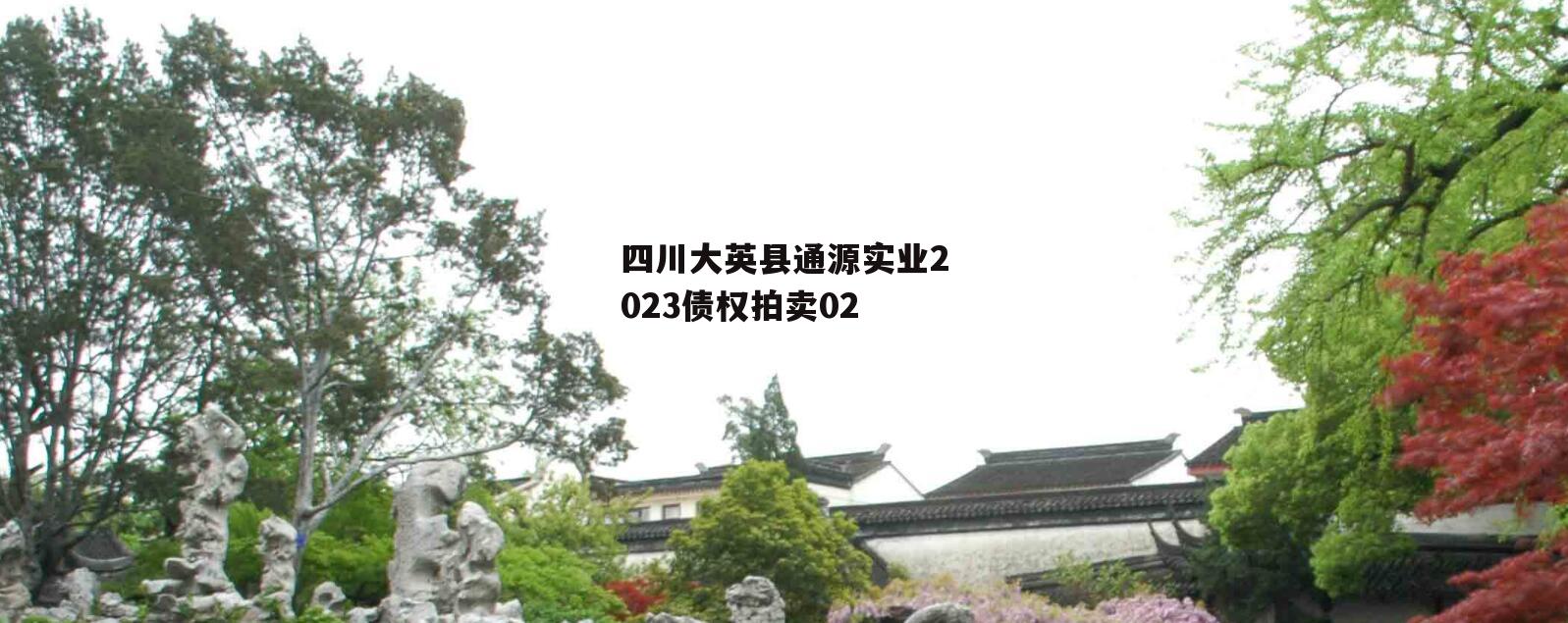 四川大英县通源实业2023债权拍卖02