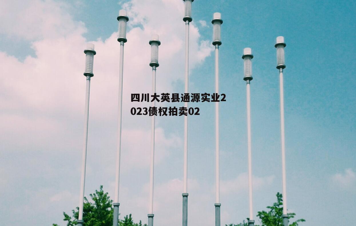 四川大英县通源实业2023债权拍卖02