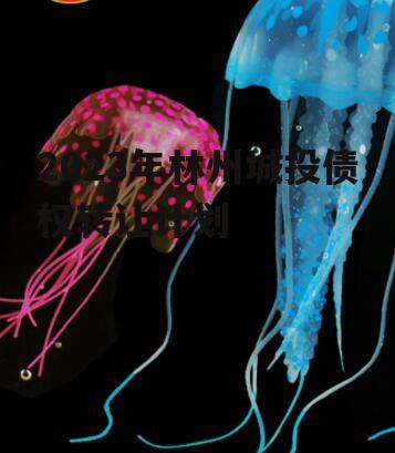 2023年林州城投债权转让计划
