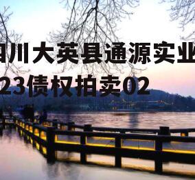 四川大英县通源实业2023债权拍卖02