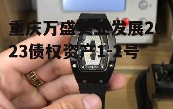 重庆万盛实业发展2023债权资产1-2号