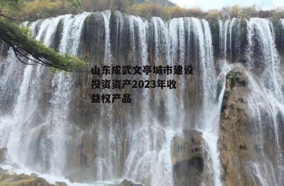 山东成武文亭城市建设投资资产2023年收益权产品