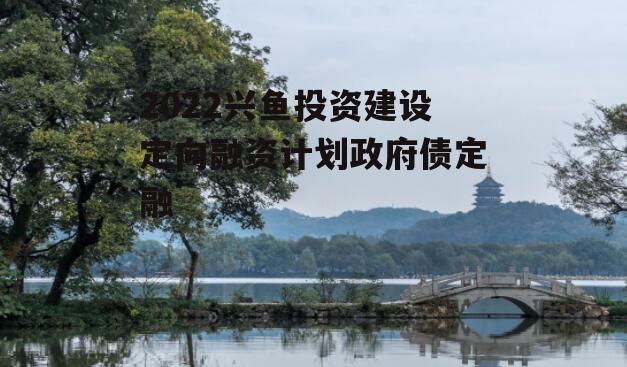 2022兴鱼投资建设定向融资计划政府债定融