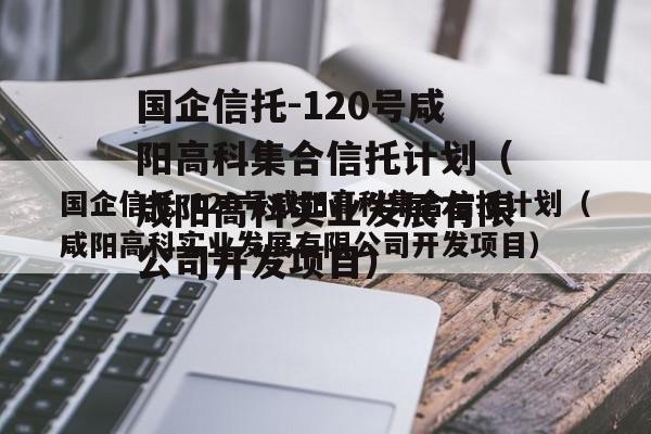 国企信托-120号咸阳高科集合信托计划（咸阳高科实业发展有限公司开发项目）