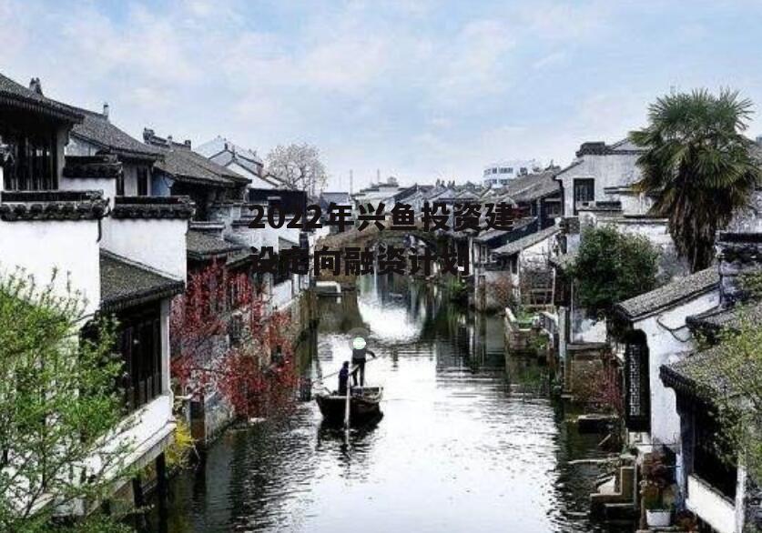 2022年兴鱼投资建设定向融资计划